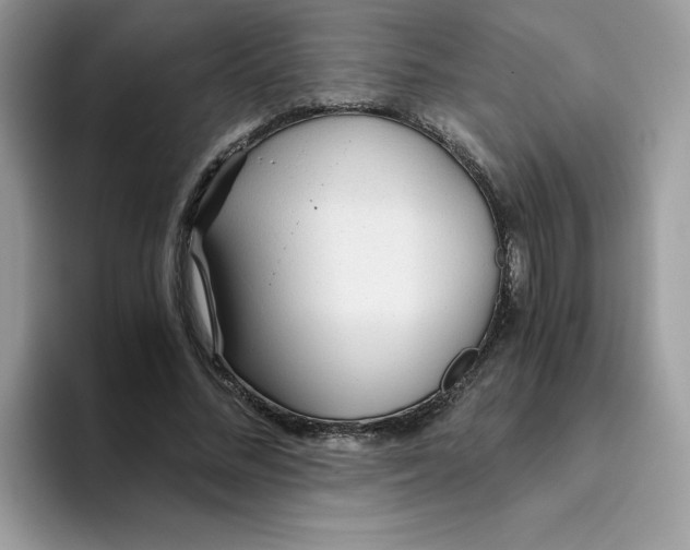 X0000093440684200711091454