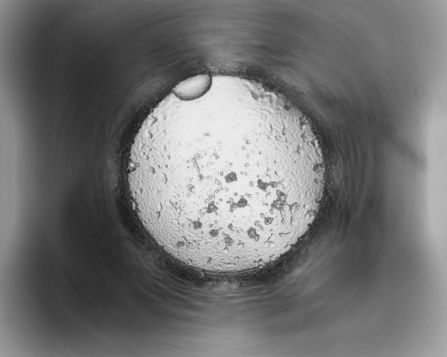 X0000093440687200711091454