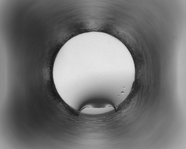 X0000093440689200711091454