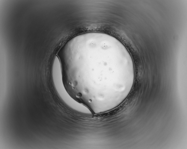 X0000093440691200711091454