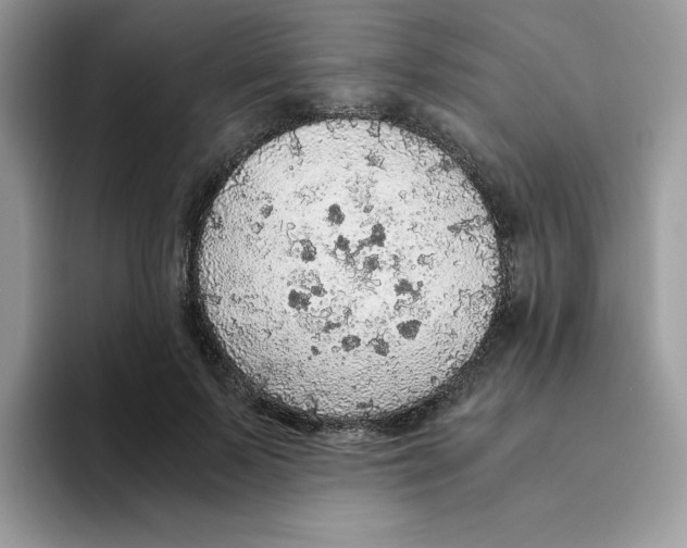 X0000093440695200711091454