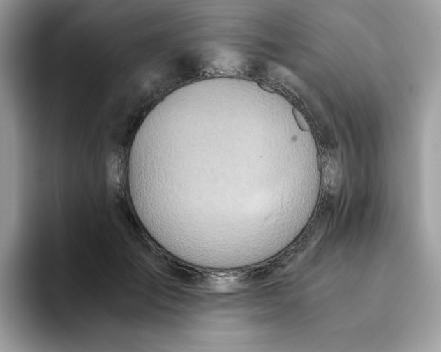 X0000093440701200711091454