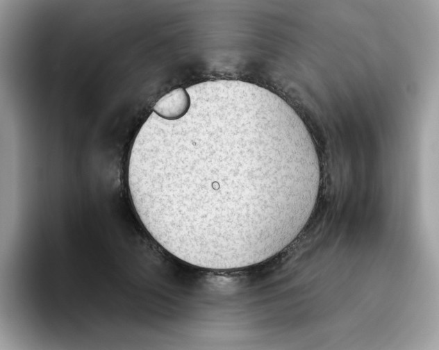 X0000093440706200711091454