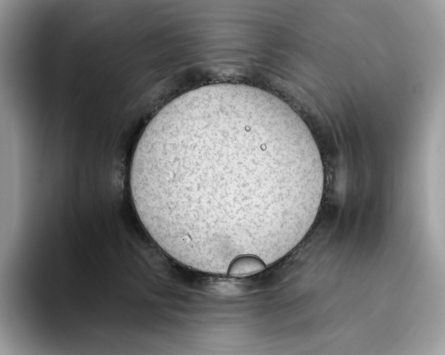 X0000093440710200711091454