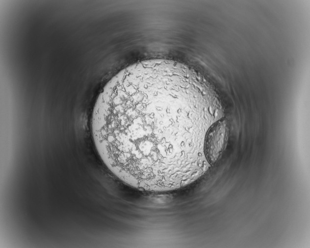 X0000093440711200711091454