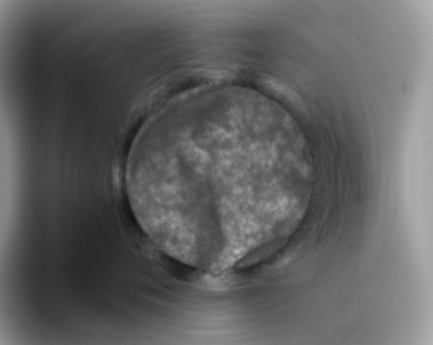 X0000093440720200711091454