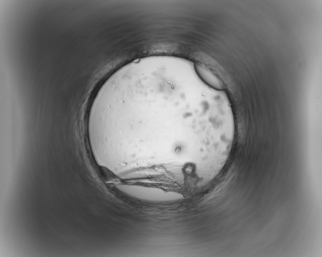 X0000093440721200711091453