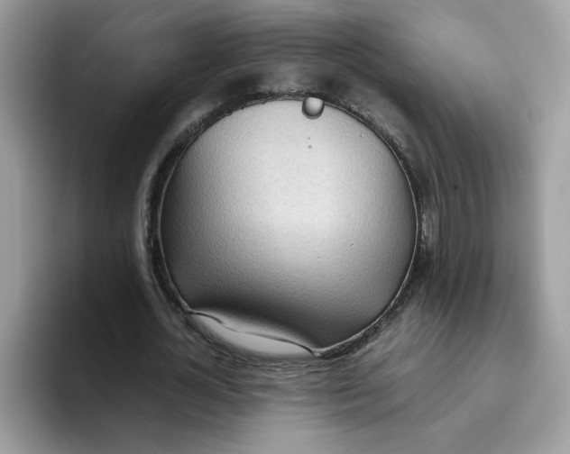 X0000093440724200711091453