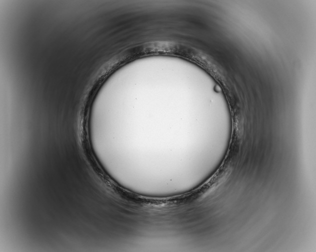 X0000093440725200711091453