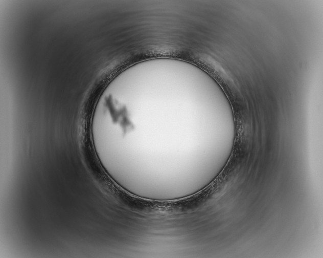 X0000093440736200711091453