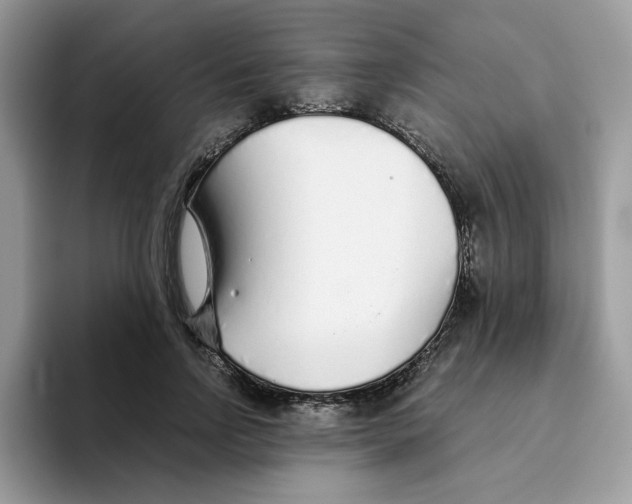 X0000093440742200711091453