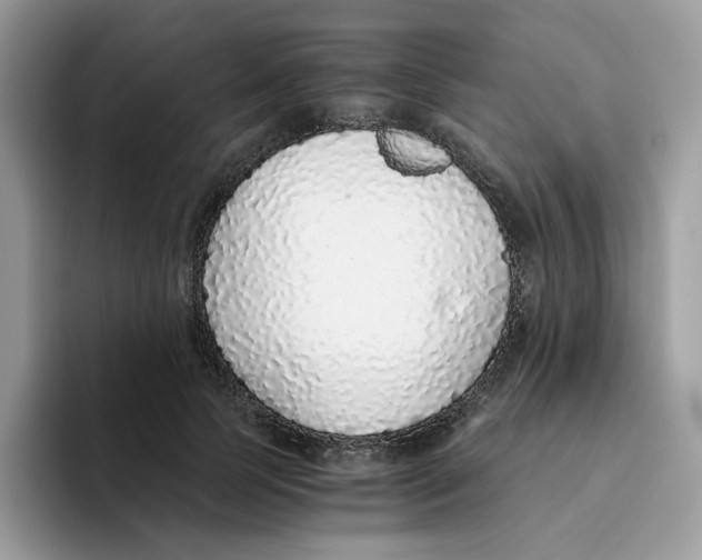 X0000093440745200711091454