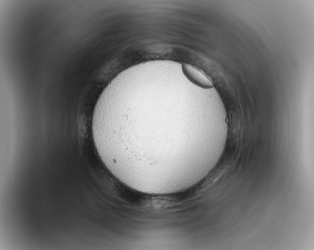 X0000093440758200711091454