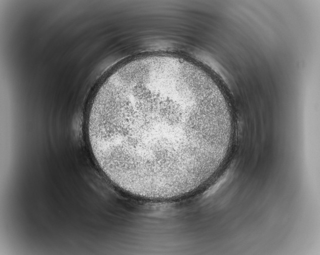 X0000093440778200711091453