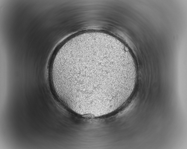 X0000093440779200711091453