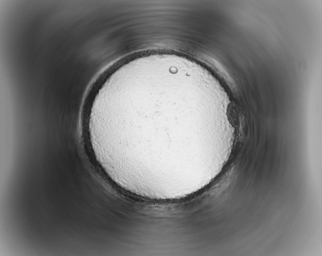 X0000093440780200711091453