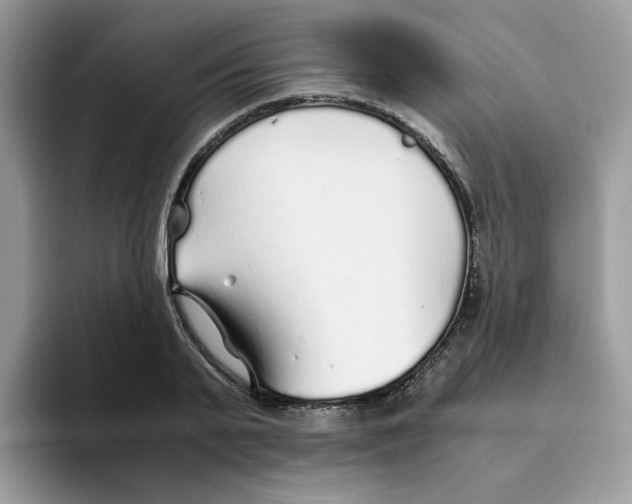 X0000093440791200711091453