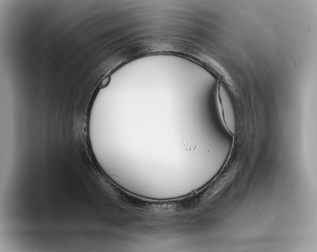 X0000093440793200711091453