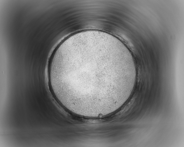 X0000093440796200711091453