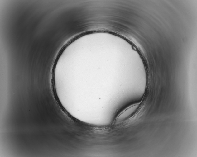 X0000093440799200711091453