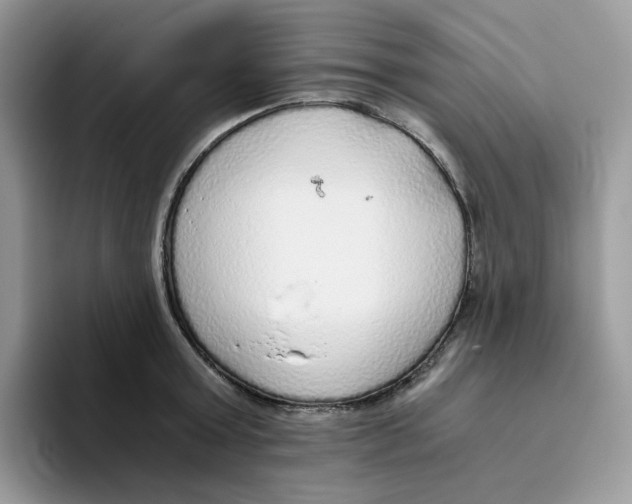 X0000093440803200711091453