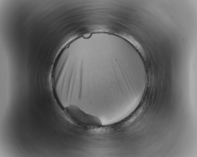 X0000093440806200711091453