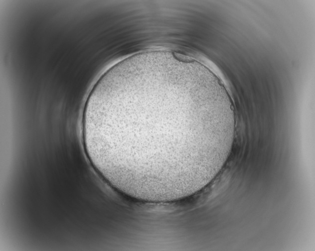 X0000093440811200711091453