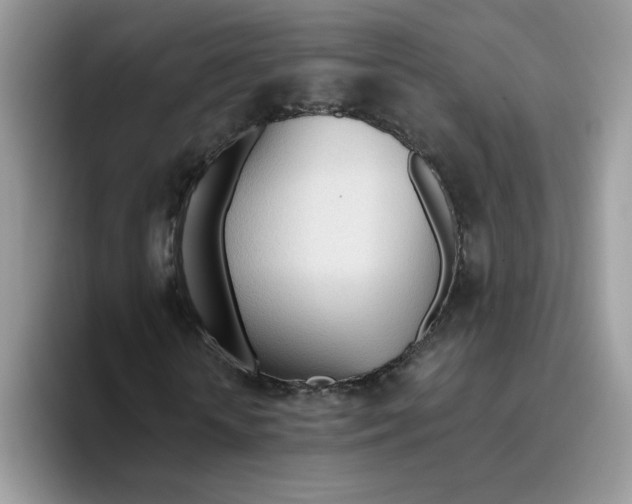 X0000093440818200711091452