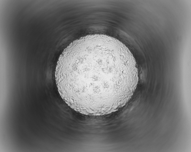 X0000093440819200711091452