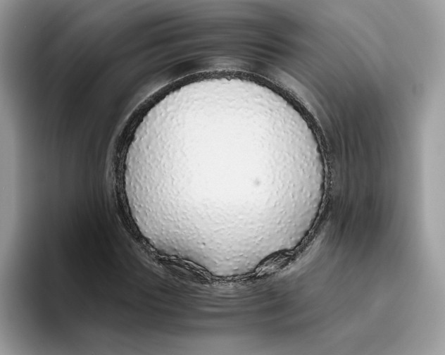 X0000093440827200711091452