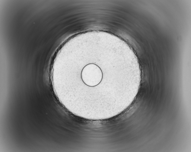 X0000093440828200711091452