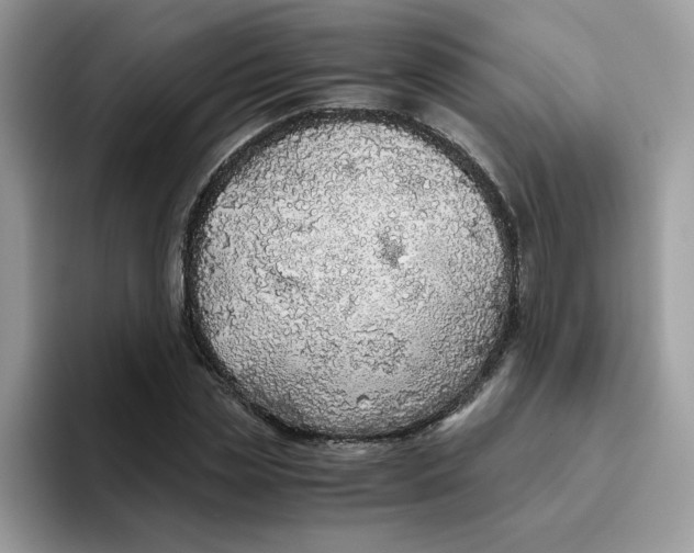 X0000093440829200711091452