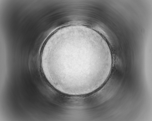 X0000093440836200711091452