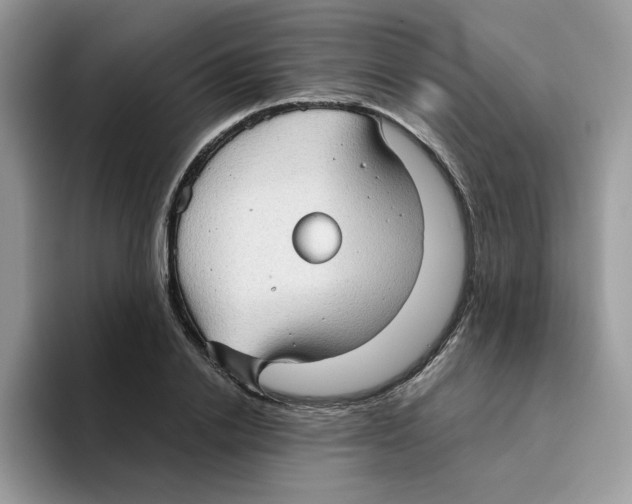 X0000093440838200711091452