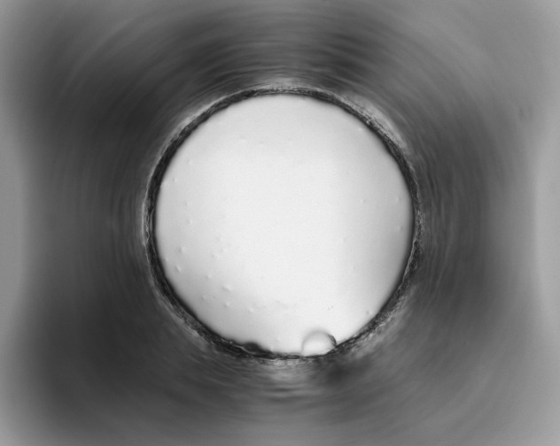 X0000093440839200711091452