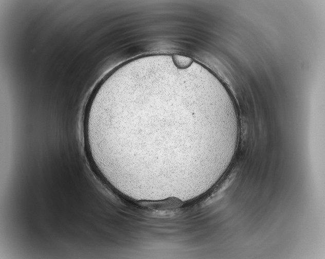 X0000093440843200711091452