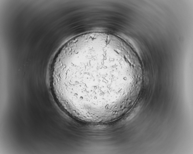 X0000093440851200711091453