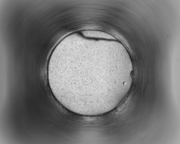 X0000093440852200711091453