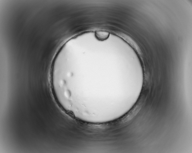 X0000093440855200711091453