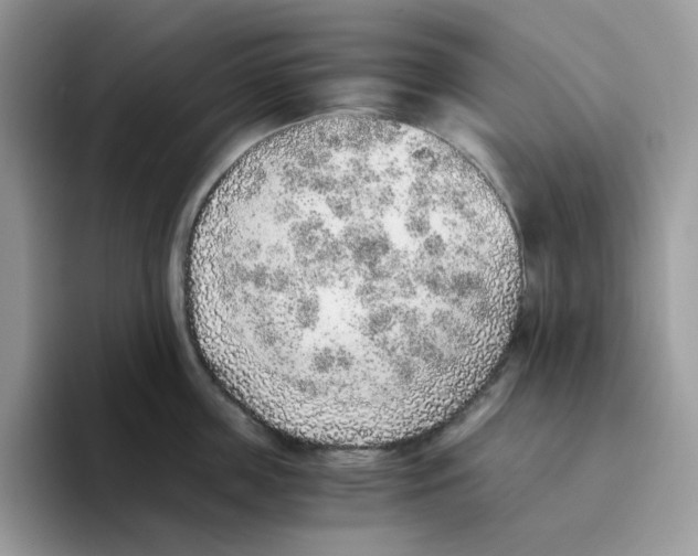 X0000093440859200711091453