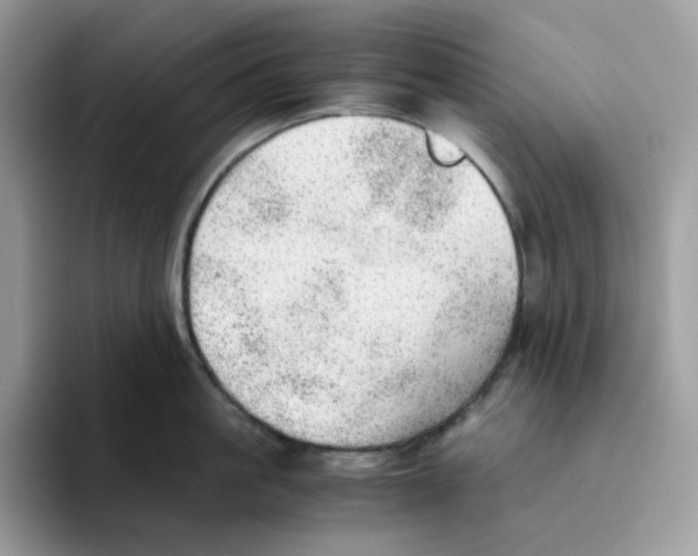 X0000093440861200711091453