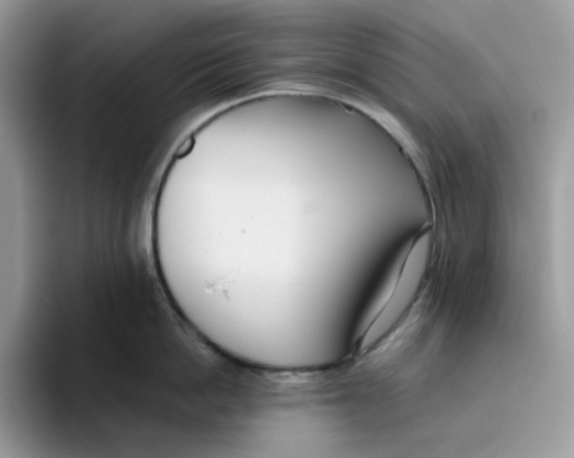 X0000093440862200711091453