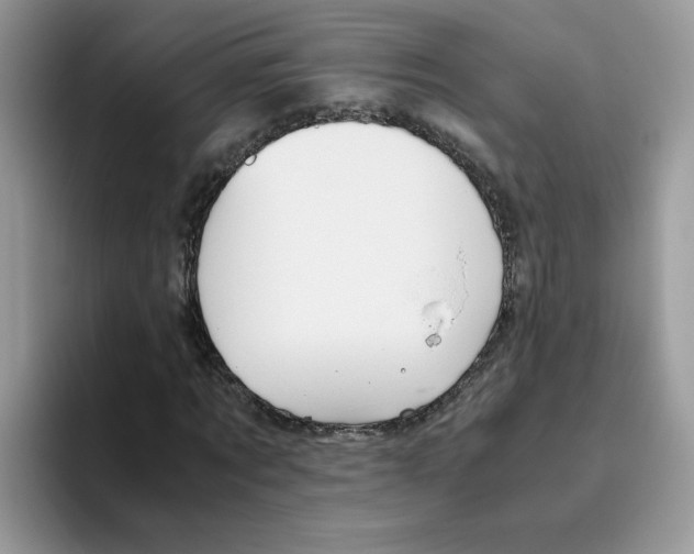 X0000093440869200711091452