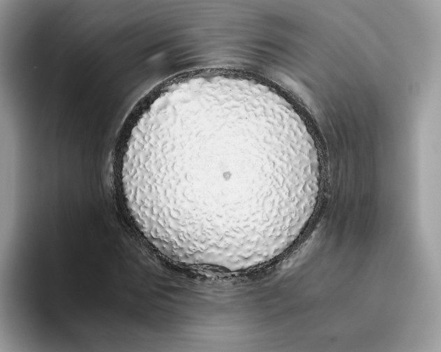 X0000093440875200711091452