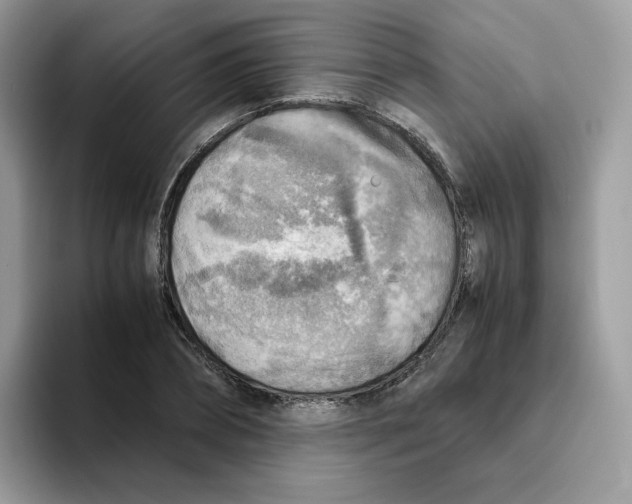 X0000093440882200711091452