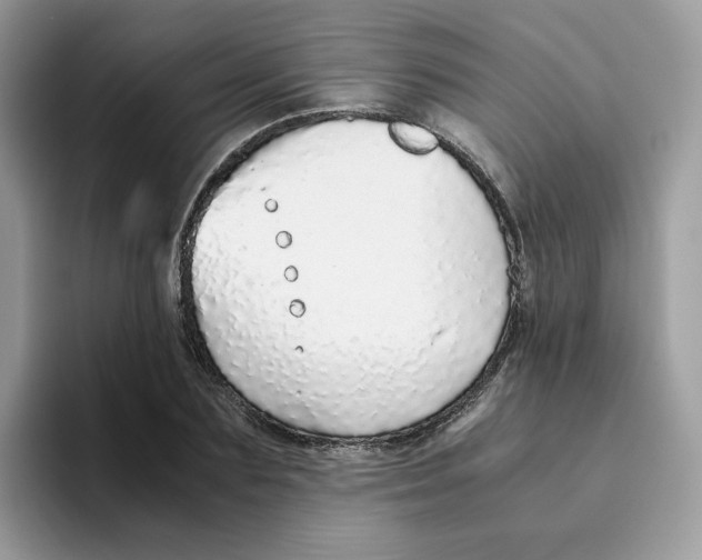 X0000093440883200711091452