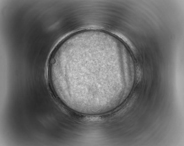 X0000093440886200711091452