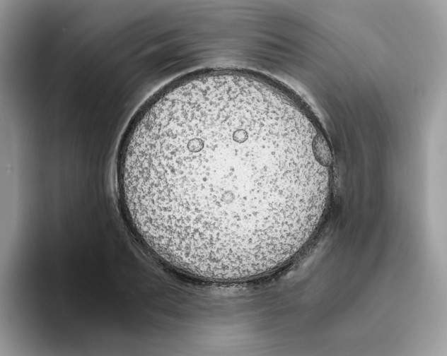 X0000093440887200711091452