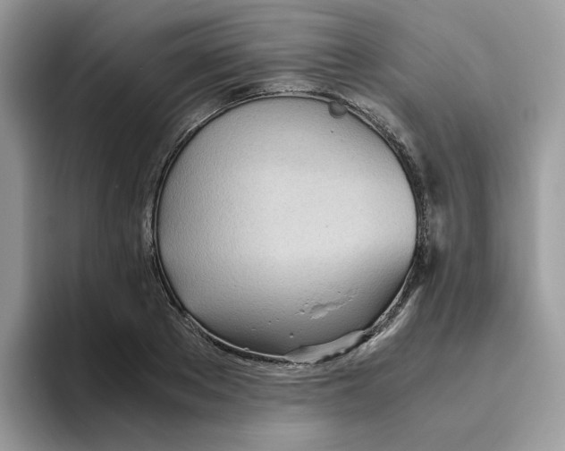 X0000093440889200711091452