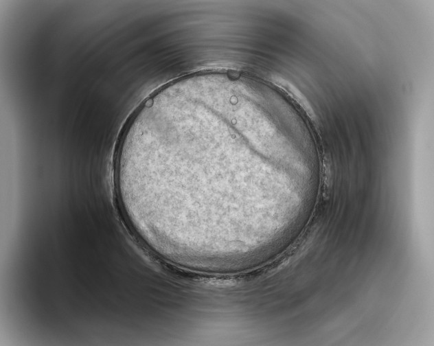 X0000093440890200711091452